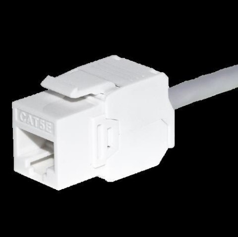 NETRACK Moduł keystone Jack RJ45 kat. 6 UTP, beznarzędziowy, biały Netrack