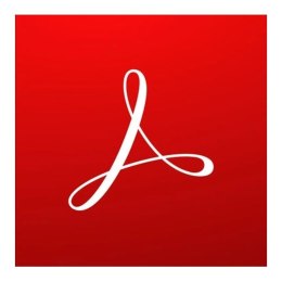 Adobe Program Adobe Acrobat Standard 2020 PL