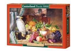 Castor Puzzle 3000 elementów Martwa natura z papugą, Josef Schuster