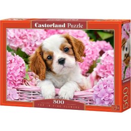 Castor Puzzle 500 elementów Pies w różowych kwiatach