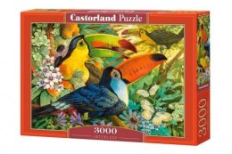 Castor Puzzle 3000 elementów Ptaki Tukany Interlude