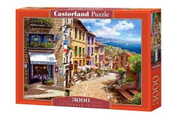 Castor Puzzle 3000 elementów, Popołudnie w Nicei