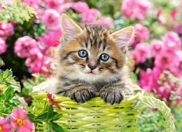 Castor Puzzle 100 elementów - Kociak w kwiatowym ogrodzie