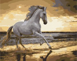 Symag Obraz Paint it! Malowanie po numerach. Koń na wybrzeżu