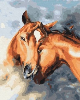 Symag Obraz Malowanie po numerach - Czułe konie