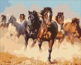 Symag Obraz Malowanie po numerach - Konie w galopie