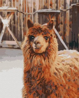Symag Obraz Malowanie po numerach - Lama na farmie