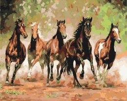 Symag Obraz Malowanie po numerach - Stado koni