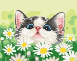 Symag Obraz Malowanie po numerach - Kot w stokrotkach