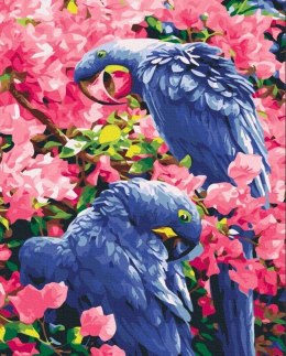 Symag Obraz Malowanie po numerach - Ptaki w kwiatach