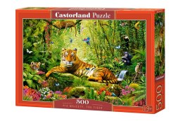 Castor Puzzle 500 elementów Majestatyczny tygrys