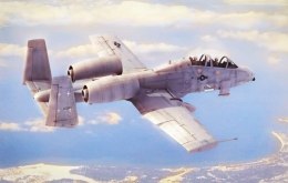 Hobby Boss N/AW A-10A Thunderbolt II 1/48