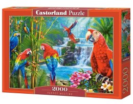 Castor Puzzle 2000 elementów Papugi spotkanie