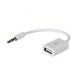 AKYGA Kabel adapter Akyga AK-AD-24 USB 2.0 A(F) - mini Jack(M)