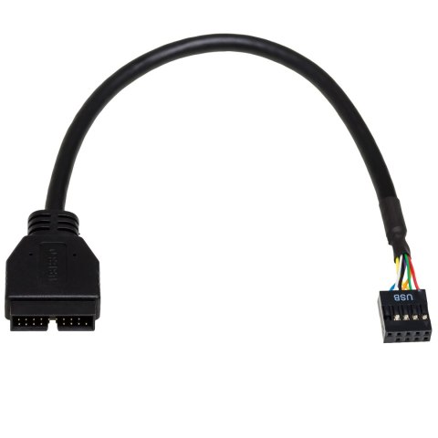 AKYGA Kabel adapter Akyga AK-CA-28 USB 19pin M - USB 9pin F 0,2m czarny