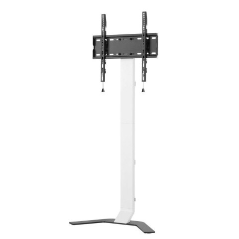 Techly Stojak podłogowy Techly 32"-70" 40kg Slim