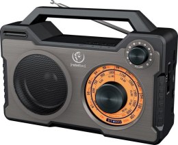 Rebeltec Głośnik Bluetooth /radio przenośne Rebeltec RODOS