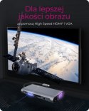 IcyBox Stacja dokująca IB-DK4040-CPD TYPE-C z dwoma interfejsami wideo