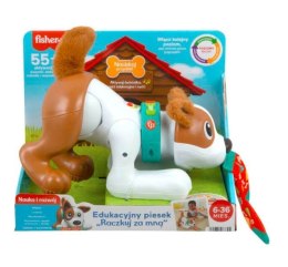 Fisher Price Edukacyjny Piesek Raczkuj ze mną