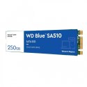 Western Digital Dysk SSD Blue 250GB SA510 M.2 2280 WDS250G3B0B