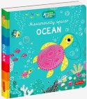 Harper Collins Książeczka Akademia mądrego dziecka Ocean. Niesamowity spacer