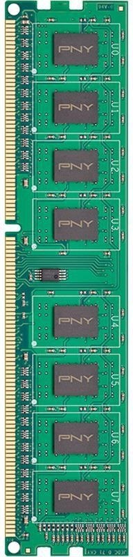 PNY Pamięć 8GB DDR3 1600MHz DIM8GBN12800/3-SB