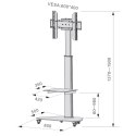 Techly Stojak Mobilny LCD/LED 37-70cali, 40kg PIVOT