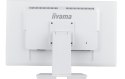 IIYAMA Monitor 24 cale T2452MSC-W1 10 PKT. POJ,IPS,HDMI,DP