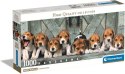 Clementoni Puzzle 1000 elementów Compact Panorama Beagle