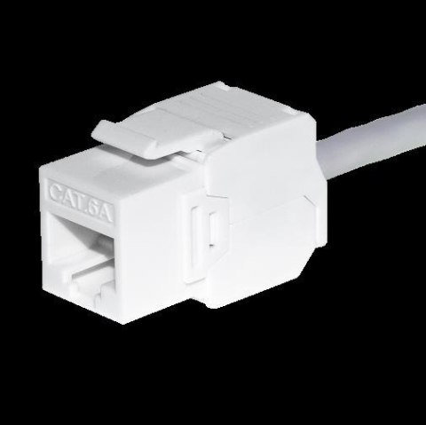 NETRACK Moduł keystone Jack RJ45 kat. 6A UTP, beznarzędziowy, biały Netrack