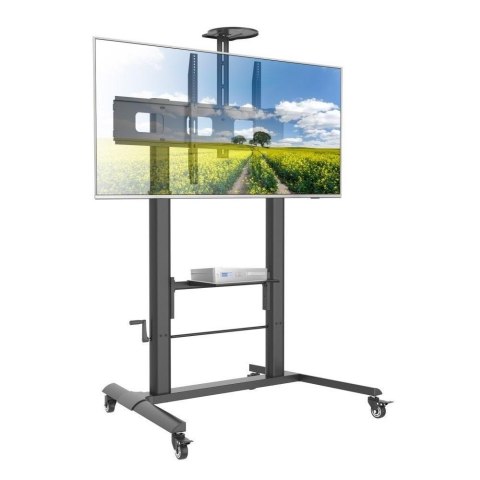 Techly Stojak mobilny Techly do tablicy interaktywnej 52"-110", 120kg z półką