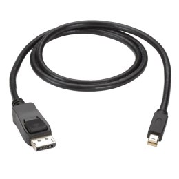 AKYGA Kabel DisplayPort - miniDisplayPort Akyga AK-AV-15 1,8m