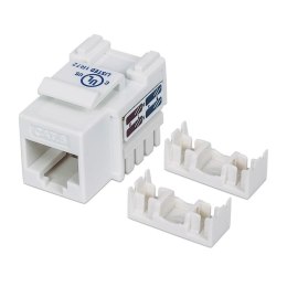 Intellinet Moduł Keystone Intellinet RJ45 UTP Cat.6, biały