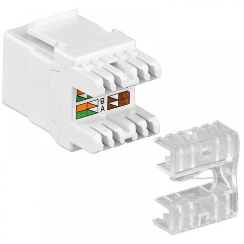 Intellinet Moduł Keystone Intellinet RJ45 UTP LSA Cat.5e biały