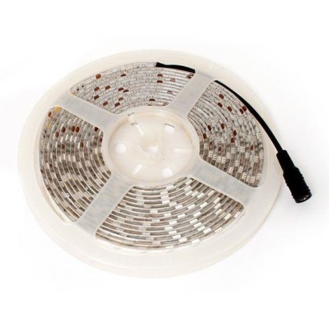 Abilite Taśma LED-5050 Abilite b.ciepła 300LED 12V IP65 5m/10mm silikon