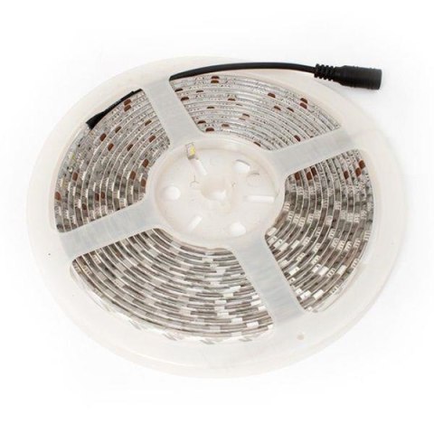 Abilite Taśma LED-5050 Abilite b.zimna 300LED 12V IP65 5m/10mm silikon