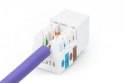 Digitus Moduł Keystone RJ45 kat.6 UTP LSA