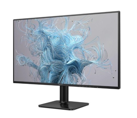 Philips Monitor 24E2N1110 23.8 cala IPS 120Hz HDMI VGA