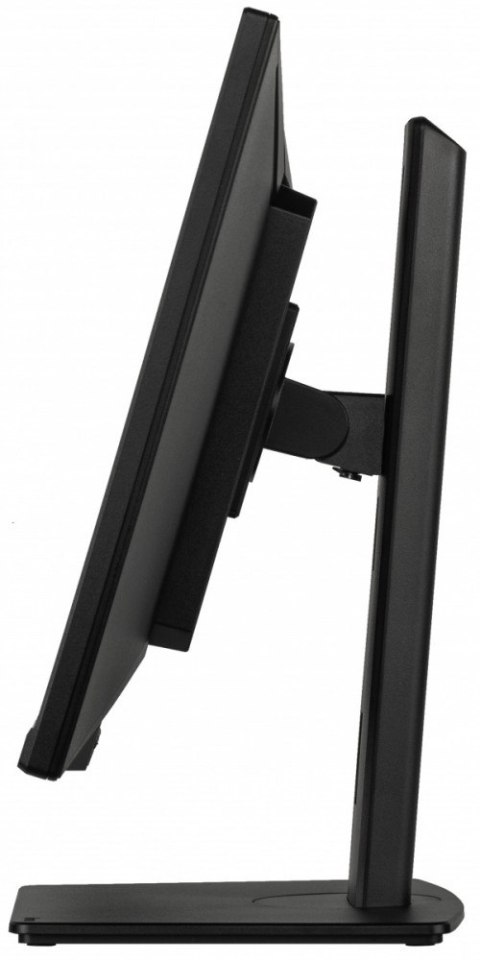 IIYAMA Monitor ProLite 34 cale XUB3493WQSU-B6 IPS,UWQHD,DP,2xHDMI,HAS,21:9,400cd, 120Hz,1000:1,1ms, USB HUBx4, 2x5W,