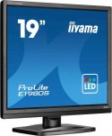 IIYAMA Monitor 19 cali E1980S-B1 HDMI DP 250cd 3ms