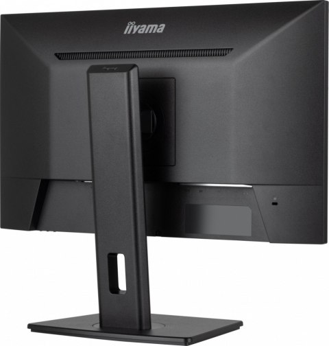 IIYAMA Monitor 24 cale XUB2493HSU-B7,IPS.HDMI.DP.2x2W.USBx2,300cd
