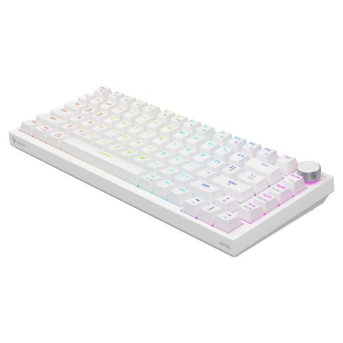 Savio Klawiatura przewodowa SAVIO ASTRAL White OUTEMU White Jade RGB magnetyczna