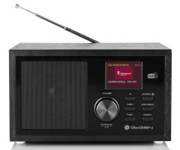 GoGEN Radio przenośne GoGen DAB620BTCB