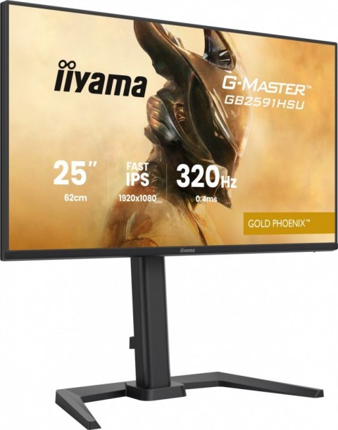 IIYAMA Monitor 25 cali GB2591HSU-B1 0.4ms, DP, 2xHDMI 2.1, 320Hz, Fast IPS, USB HUB x4
