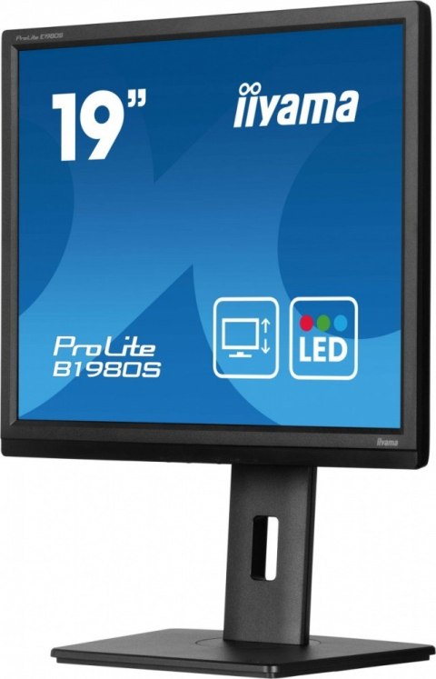 IIYAMA Monitor 19 cali B1980S-B1 HDMI, DP, PIVOT, HAS/150mm