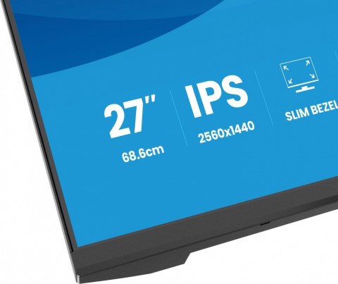 IIYAMA Monitor 27 cali X2793QSU-B1 IPS, QHD, HDMI, DP, 2xUSB