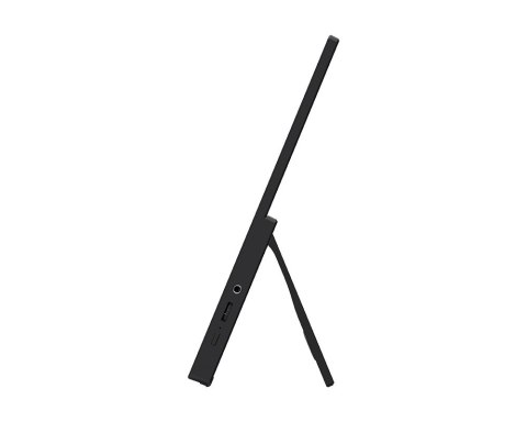 MSI Monitor 15.6 cala PRO MP165 E6 LED/FHD/Flat/60Hz/czarny