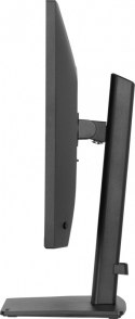 IIYAMA Monitor 27 cali XB2791QS-B1 IPS, QHD, HDMI, DP