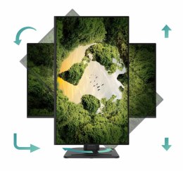 MSI Monitor PRO MP275PGN E14 27 cali/LED/FHD/Zakrzywiony/144Hz/Czarny