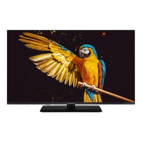 GoGEN Telewizor GoGEN TVF32M340STWEB 32"